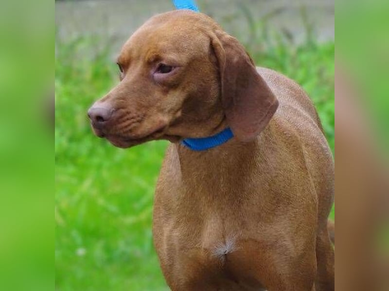 KERRY zittert um ihr Leben