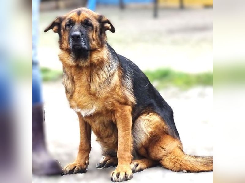 MARINA ist einfach wunderbar