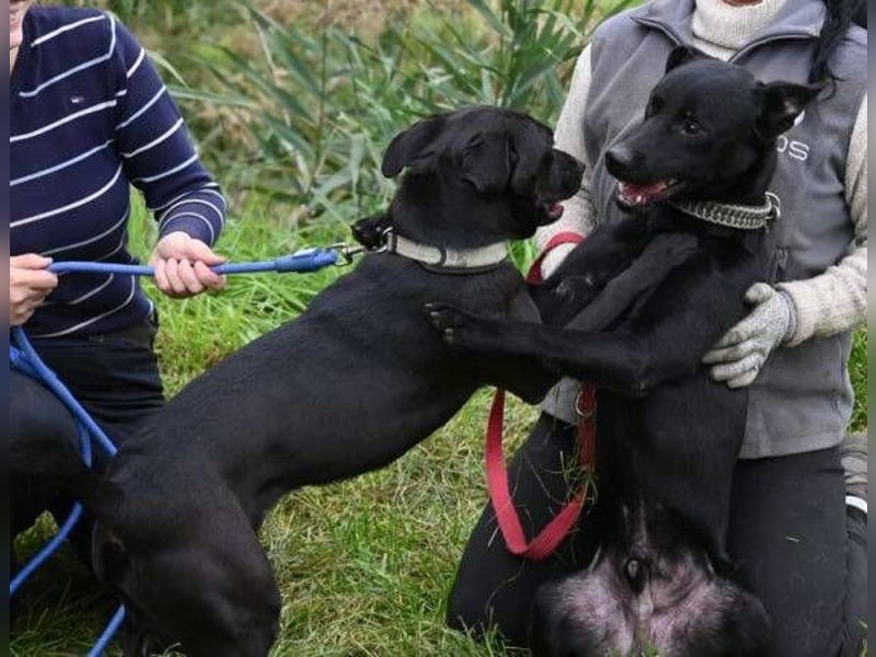OLI braucht eine eigene Familie
