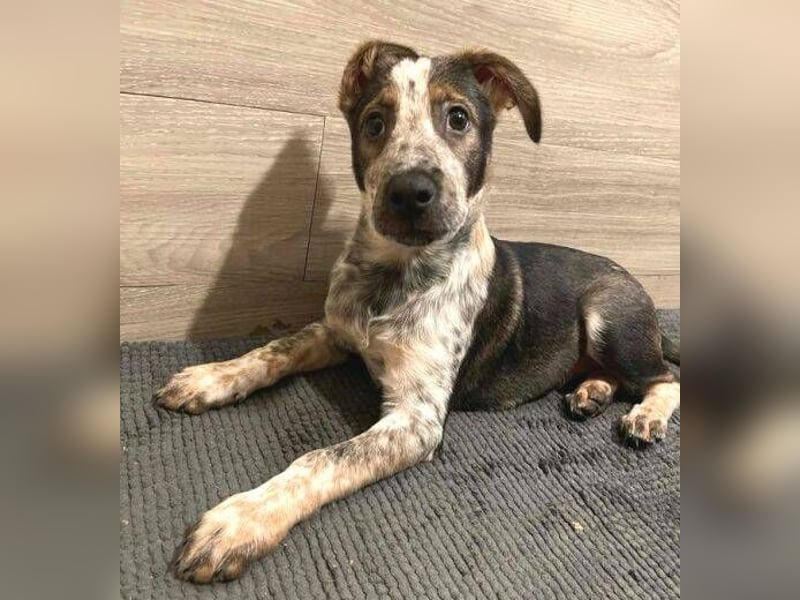 DENY wurde verlassen gefunden