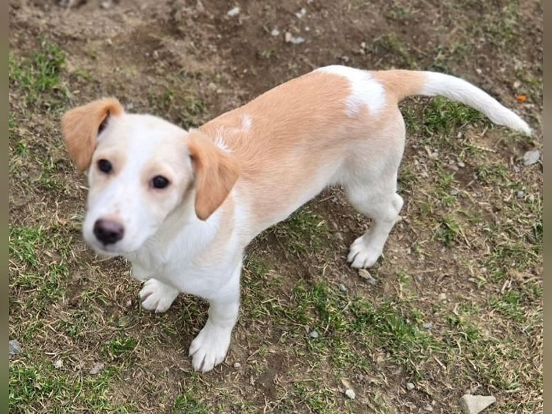 ANMARIE hofft so sehr auf ein Zuhause