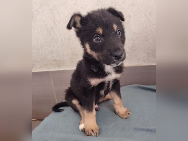 NATHAN das Baby wurde herzlos ausgesetzt