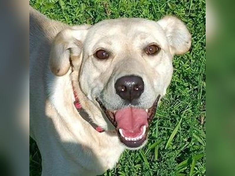 REXI ist ein Goldschatz REXI ist ein Goldschatz