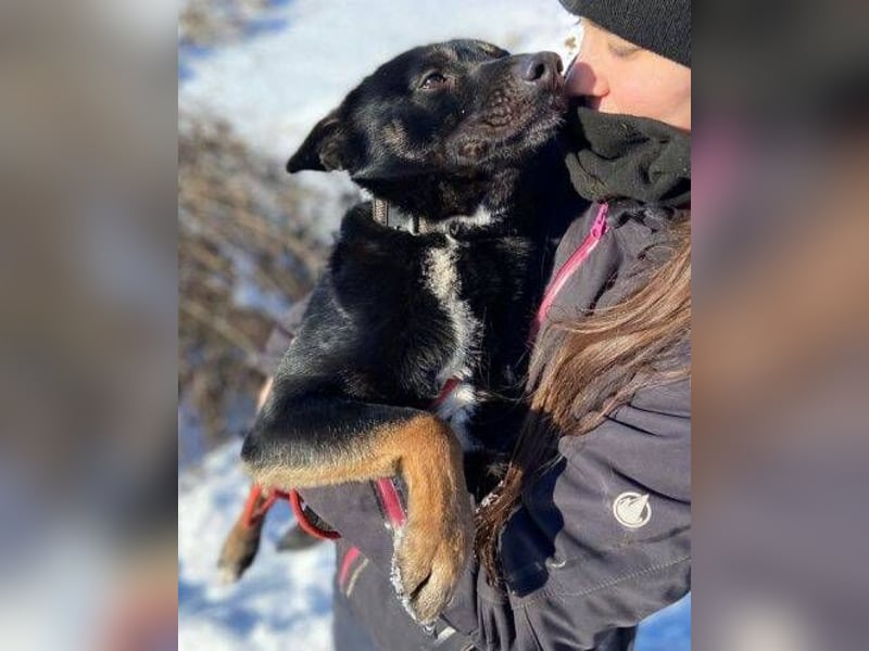 NERO ist eine Seele von Hund