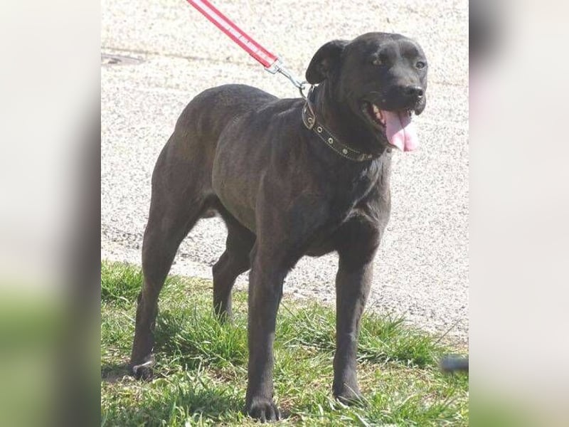 NIKA - Wer gibt ihr die Hoffnung zurück?