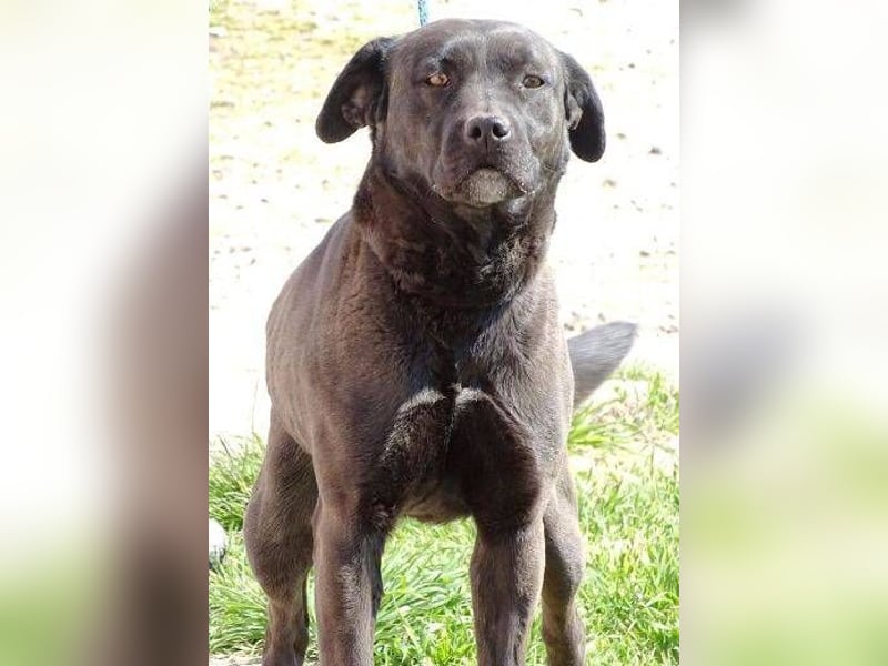 NIKA - Wer gibt ihr die Hoffnung zurück?