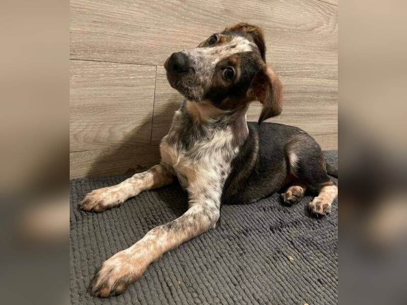 DENY wurde verlassen gefunden