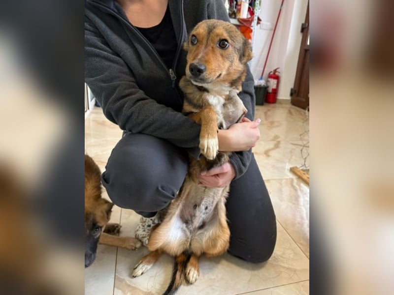 SADY ist einfach bezaubernd