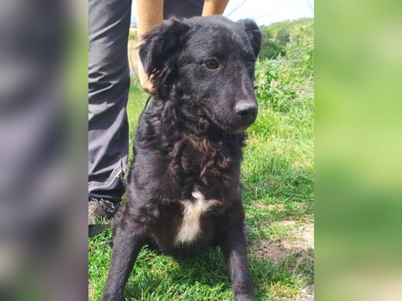 ALVARO war einsam und verlassen