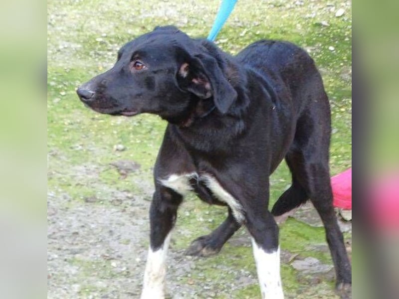 LULU wäre so gerne Teil einer Familie