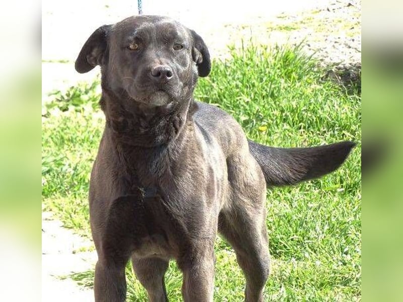 NIKA - Wer gibt ihr die Hoffnung zurück?