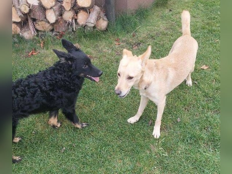 BONI ist sehr liebevoll