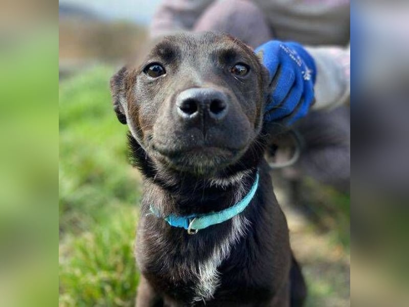 ZARA - wer zeigt ihr die Sonnenseite des Lebens?