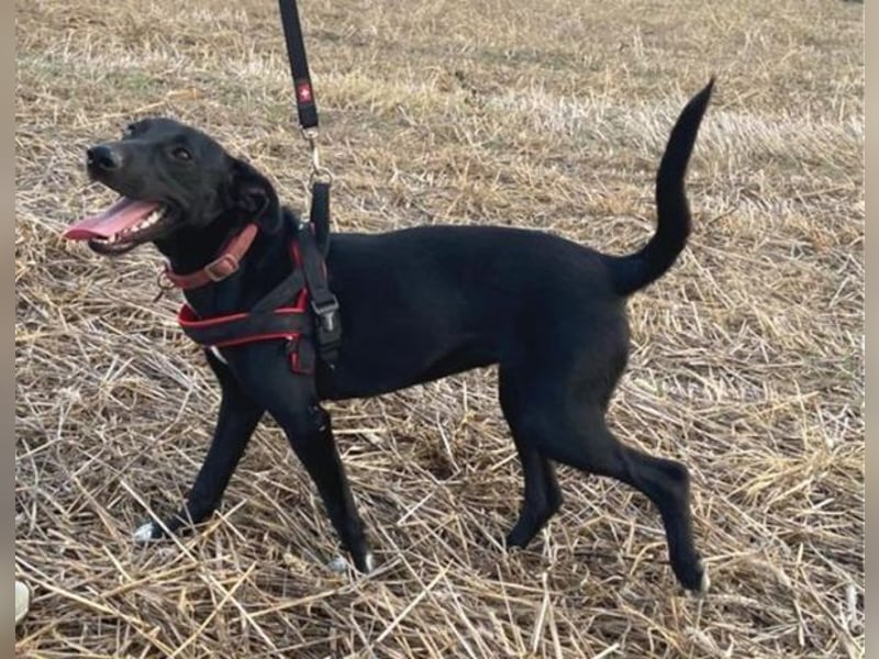 ELLA ist ganz zauberhaft