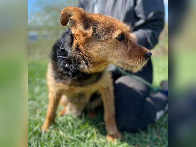 MILLI , wer zeigt ihr wie schön das Leben sein kann.?