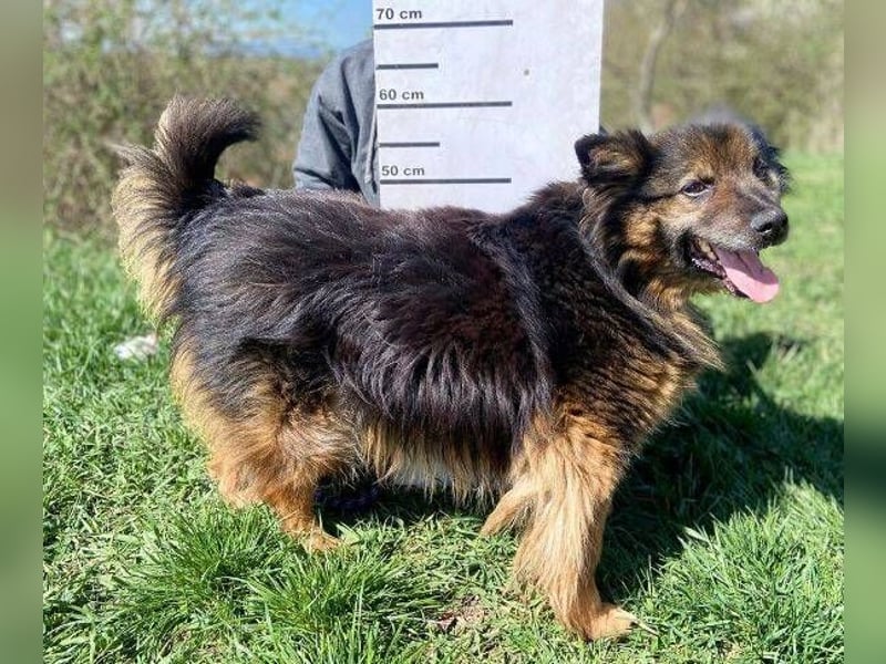 BUGY musste ein elendes Leben fristen