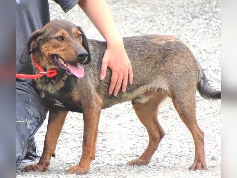 DONNIE braucht Lebensretter