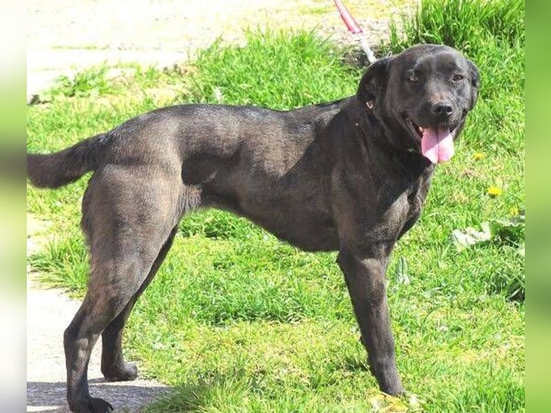 NIKA - Wer gibt ihr die Hoffnung zurück?