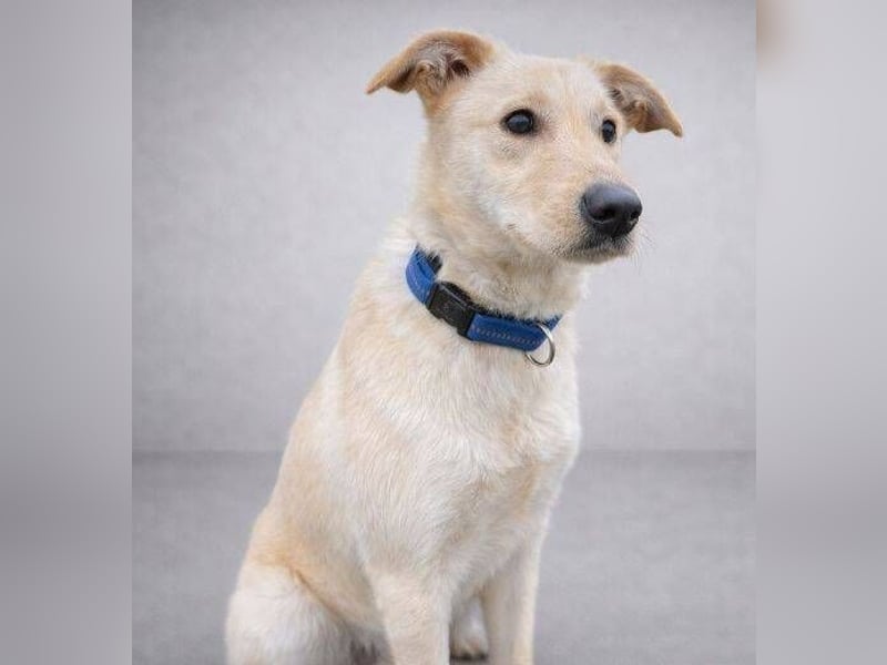 DARO wurde eiskalt ausgesetzt