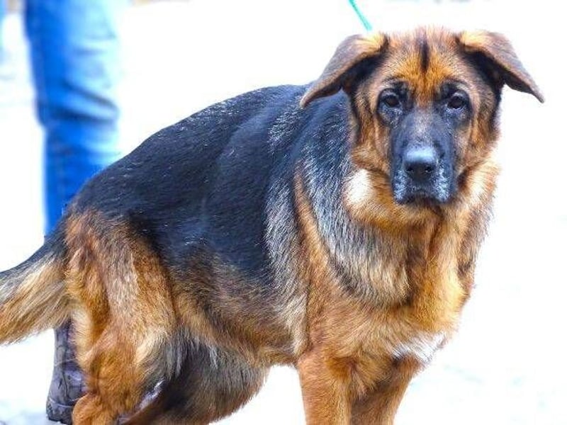 MARINA ist einfach wunderbar