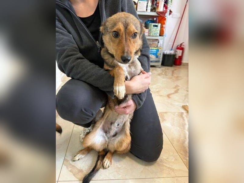 SADY ist einfach bezaubernd