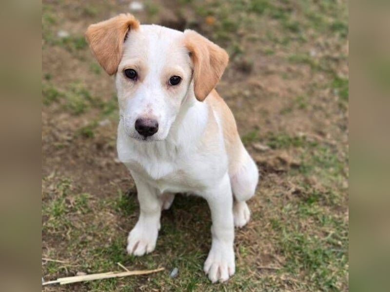 ANMARIE hofft so sehr auf ein Zuhause