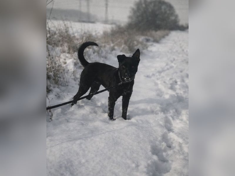 OLI braucht eine eigene Familie