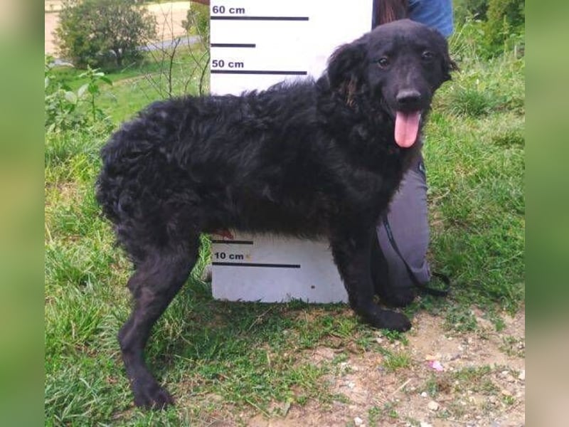 ALVARO war einsam und verlassen