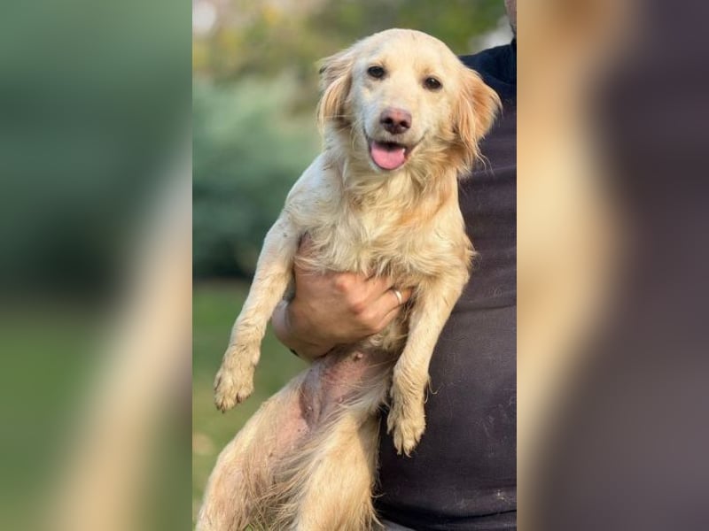 HERA versteht sich mit allen