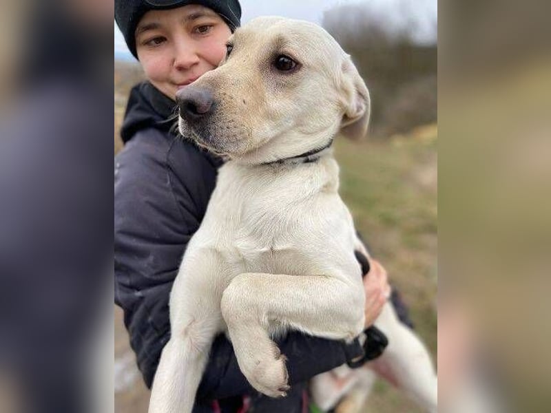 MAYLO braucht Liebe und Zuwendung