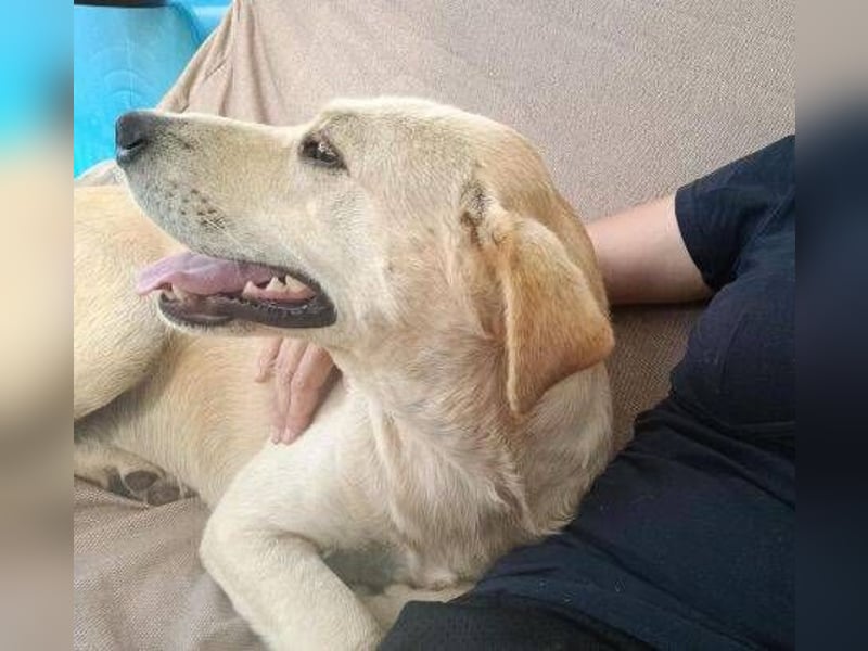 REXI ist ein Goldschatz REXI ist ein Goldschatz