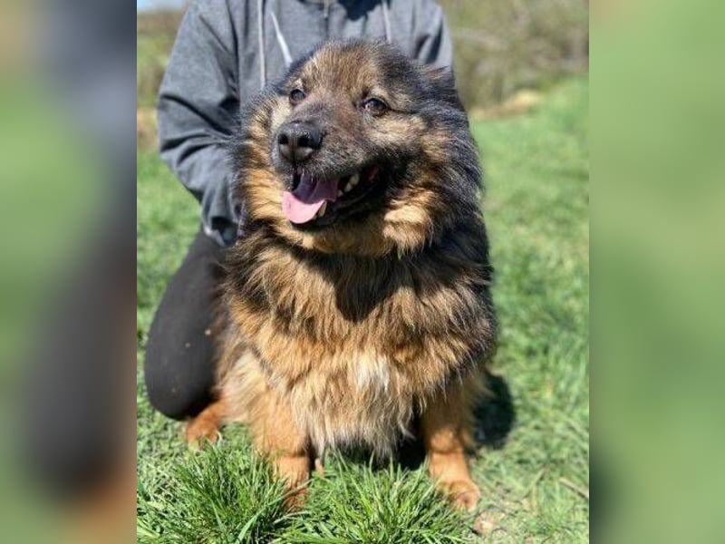 BUGY musste ein elendes Leben fristen