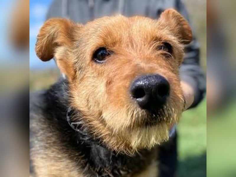 MILLI , wer zeigt ihr wie schön das Leben sein kann.?