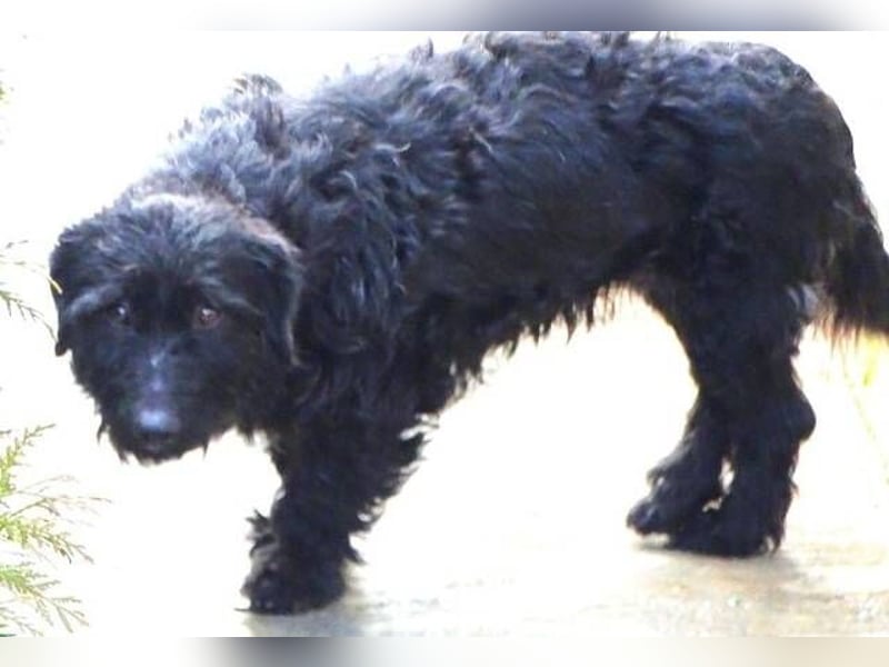 BEBA hofft auf Lebensretter