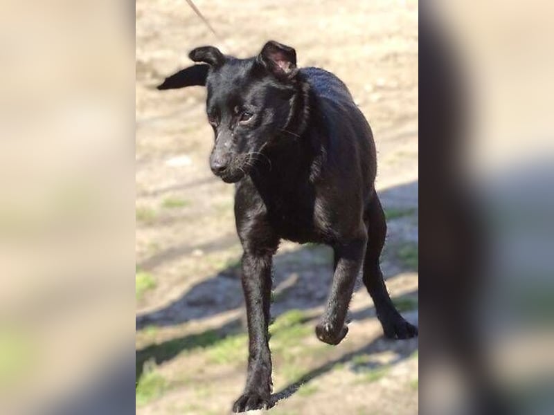 SUZIE sehnt sich so nach Liebe