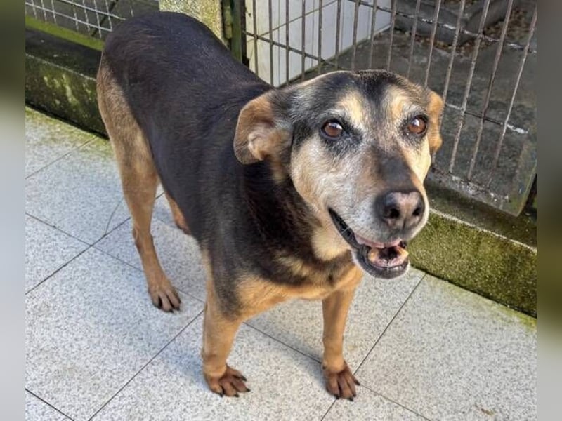 DALIA soll dort nicht sterben