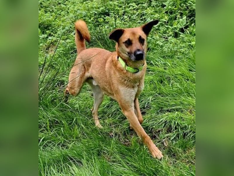 ROXY ist ein super Begleiter