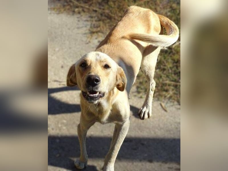 BAK schwebt in großer Gefahr