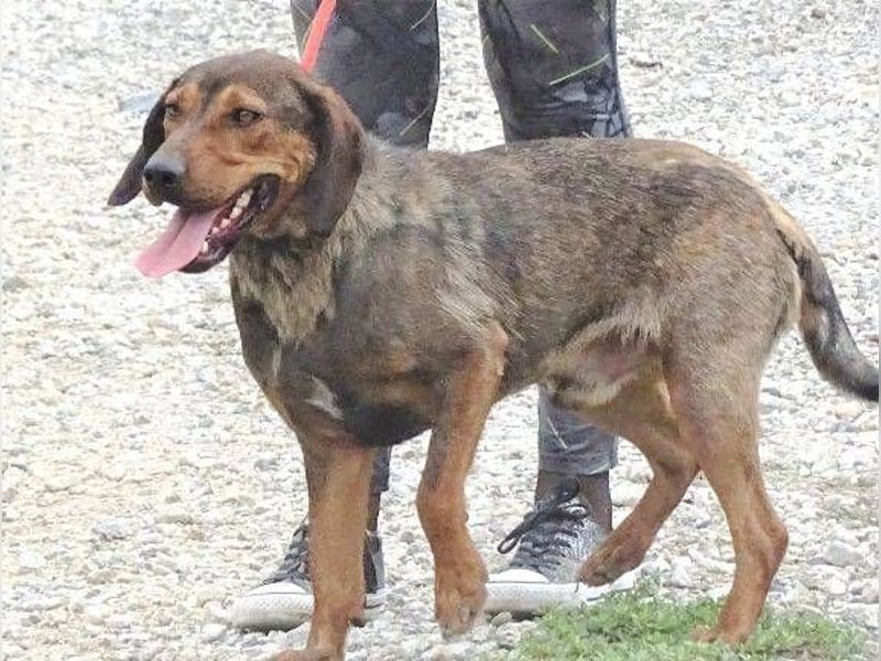 DONNIE braucht Lebensretter