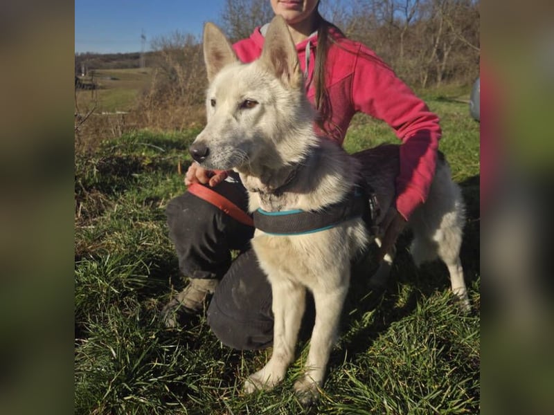 ADRIENA ist verspielt und freundlich