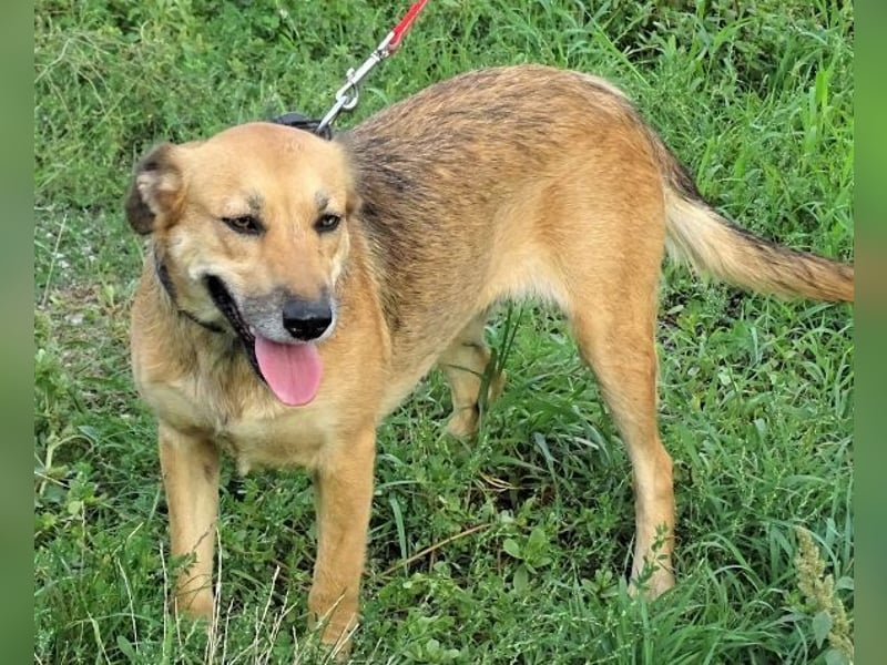 STELLA 2 ist sehr verschmust