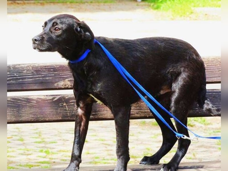 ARTHUR ist sehr lieb