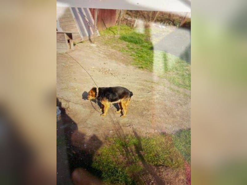 MILLI , wer zeigt ihr wie schön das Leben sein kann.?