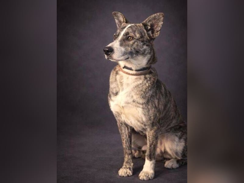 JUDY ist eine Schönheit