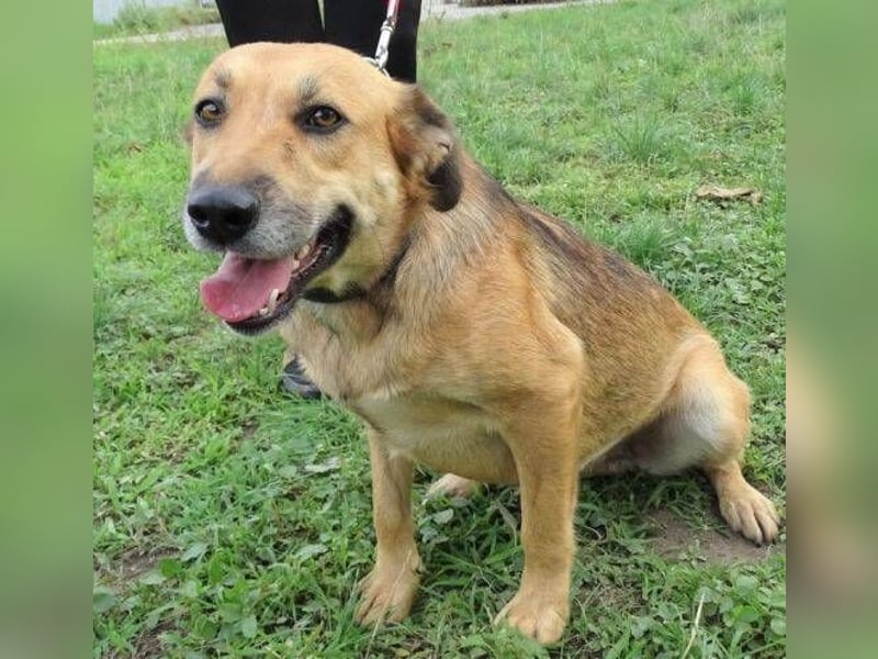 STELLA 2 ist sehr verschmust