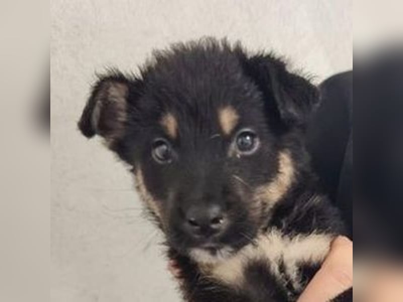 NATHAN das Baby wurde herzlos ausgesetzt