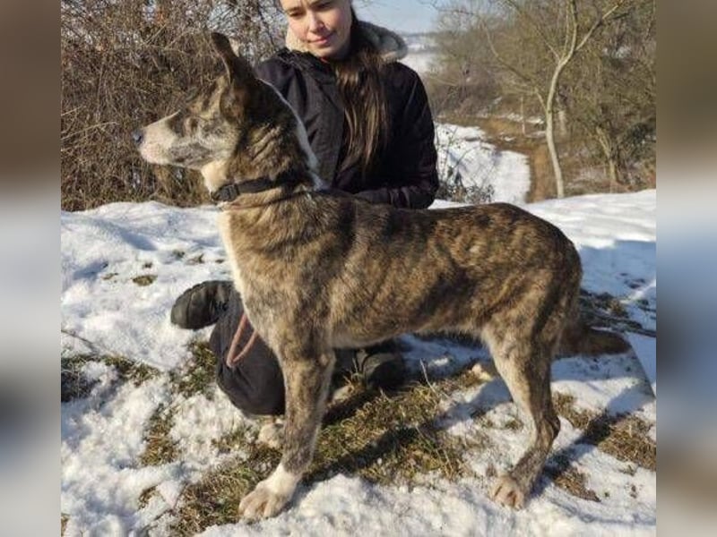 JUDY ist eine Schönheit