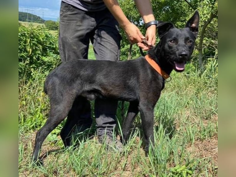 OLI braucht eine eigene Familie