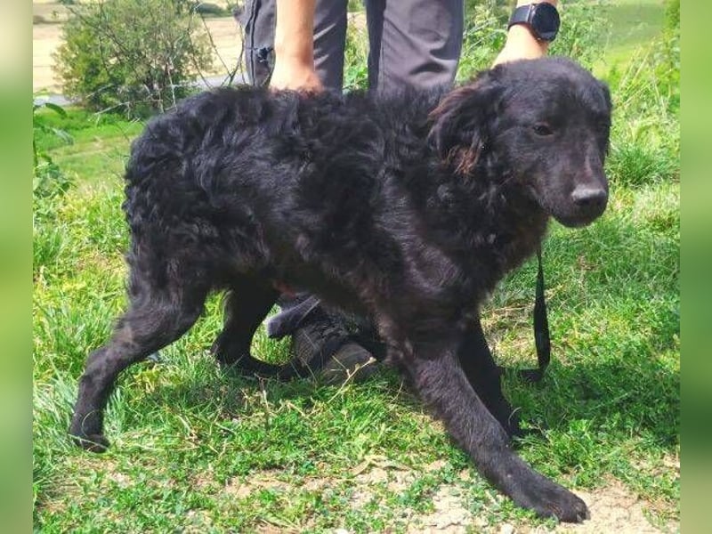 ALVARO war einsam und verlassen