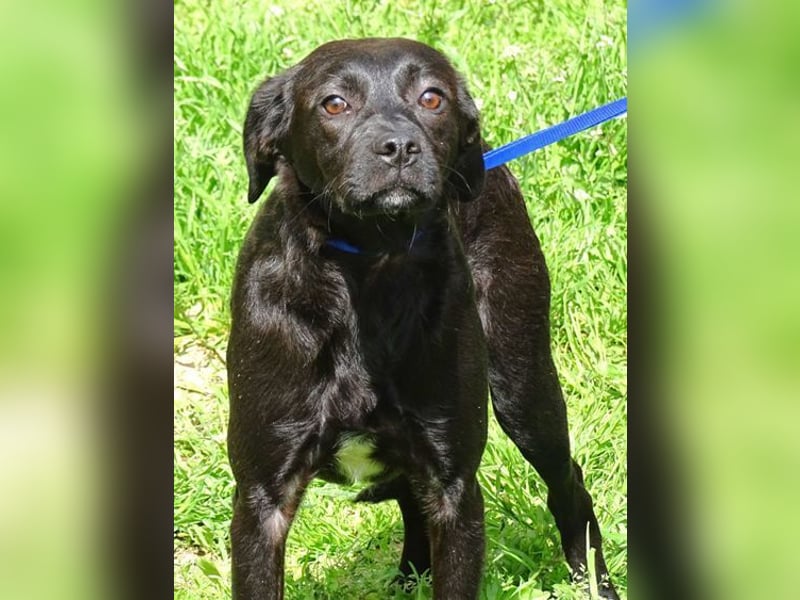 ARTHUR ist sehr lieb